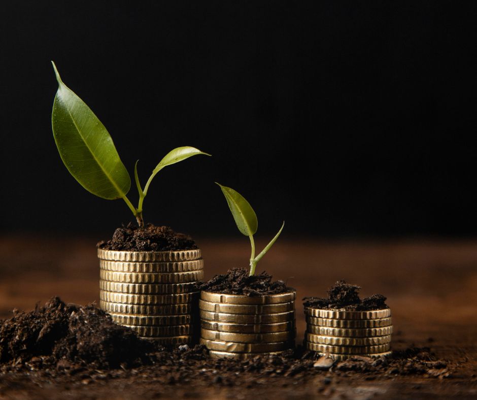 economic empowerment